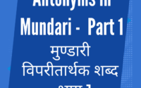 Antonyms in Mundari - Part 1